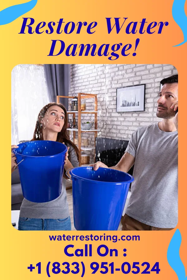water restoration Titan Water Repair Crew Williamson