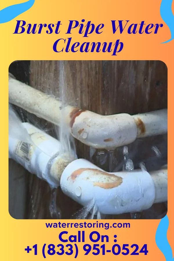 Burst Pipe Water Cleanup in Williamson, WV