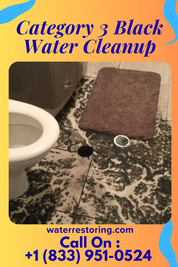Category 3 Black Water Cleanup in Williamson, WV