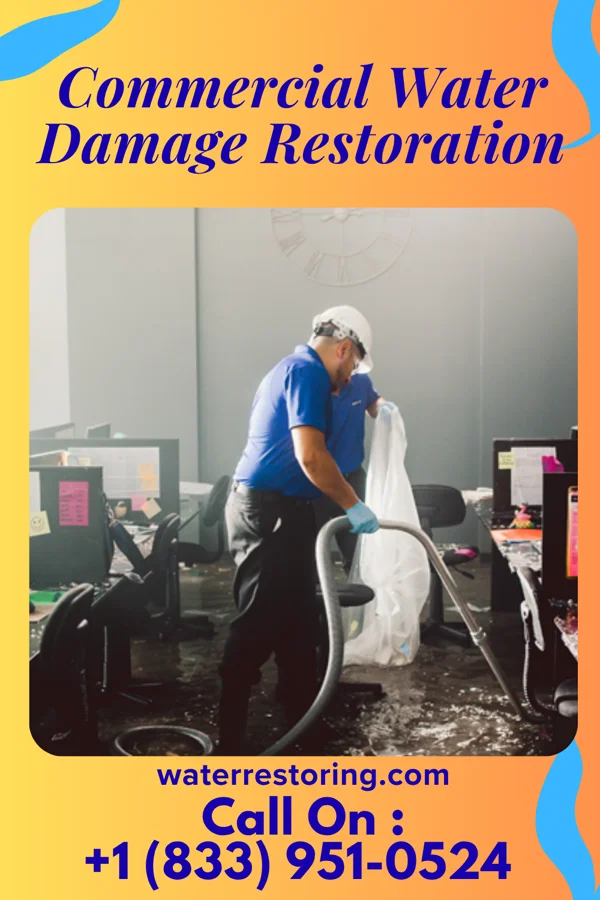 Commercial Water Damage Restoration in Williamson, WV