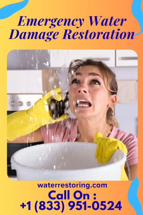 Emergency Water Damage Restoration in Williamson, WV
