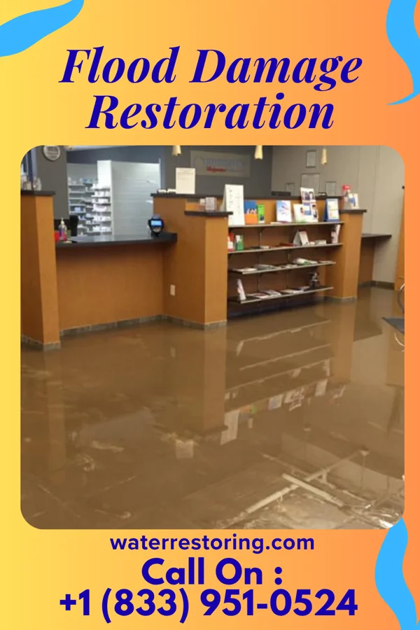 Flood Damage Restoration in Williamson, WV