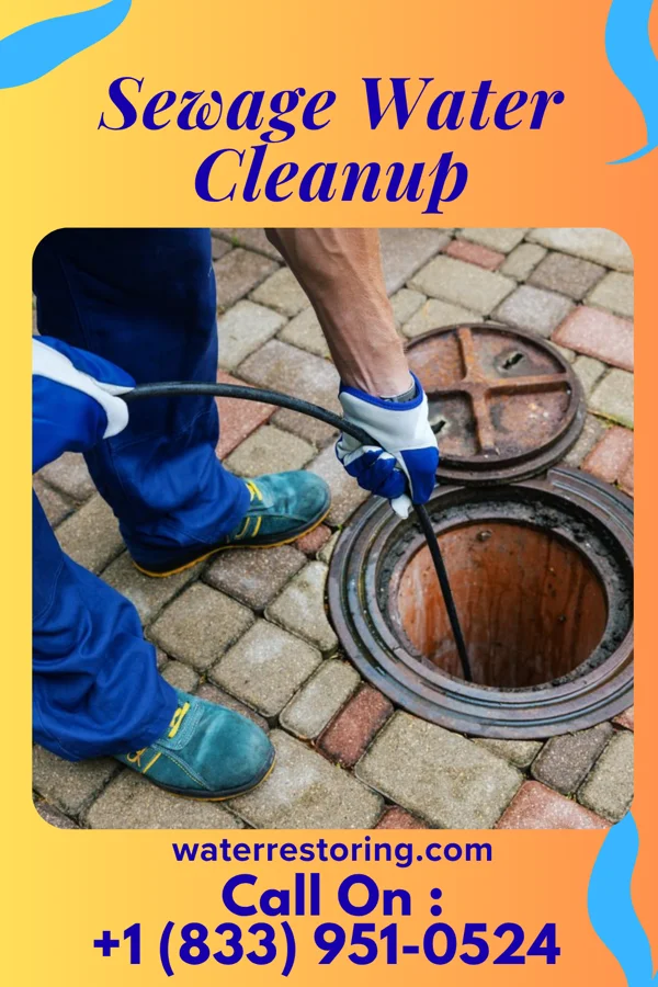 Sewage Water Cleanup in Williamson, WV