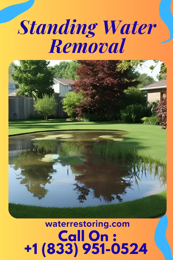 Standing Water Removal in Williamson, WV